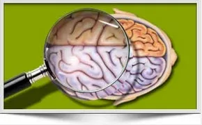 ADHD, Anxiety Natural Cures