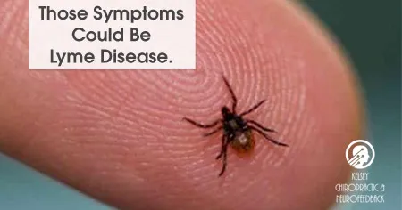 Lyme Disease And Neurofeedback