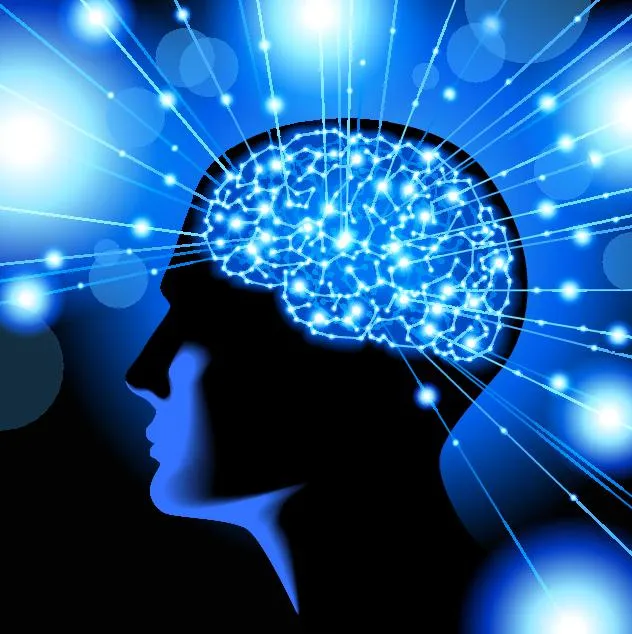 brain3